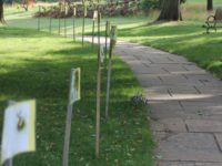 Bird Park hosts StoryWalk