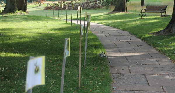 Bird Park hosts StoryWalk