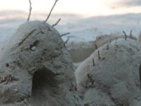 ‘Lake Ness Monster’ wins sandcastle contest