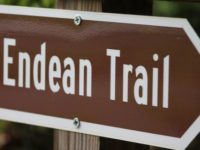 Endean Trail an apparently forgotten path