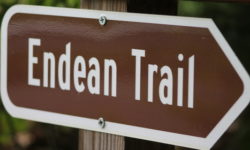 Endean Trail an apparently forgotten path