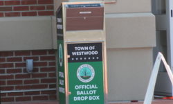 Town clerk ensuring voting goes smoothly