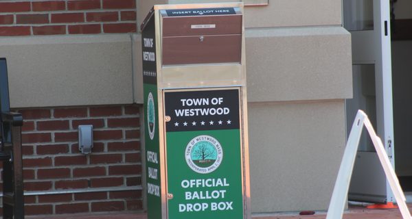 Town clerk ensuring voting goes smoothly