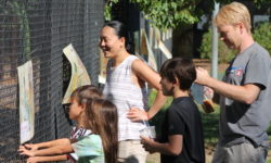 Greene’s Field playground hosts story walk