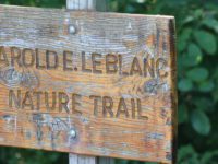 Hiking the Harold LeBlanc Trail