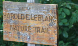 Hiking the Harold LeBlanc Trail
