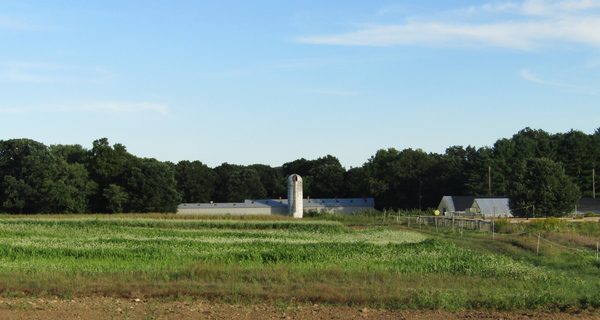 Powisset Farm StoryWalk brings summer fun