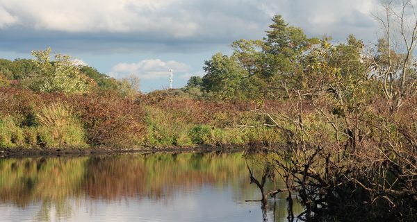 Two paths, one hike along Charles