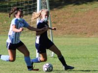 Needham and Walpole happy to play