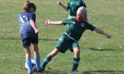 Westwood BAYS girls power through pandemic