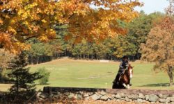 Hunt Club holds costumed Hunter Pace