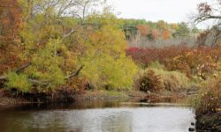Shattuck Reservation pleasant, but sleepy