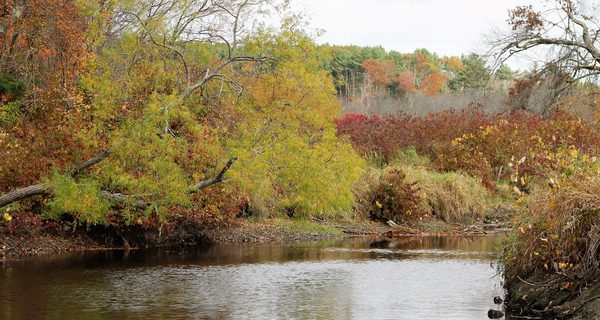 Shattuck Reservation pleasant, but sleepy