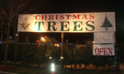 Norfolk Lodge announces Christmas tree sale