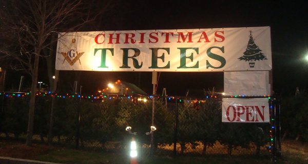Norfolk Lodge announces Christmas tree sale