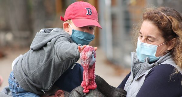Unity Farm hosts turkey celebration tours