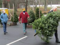 Lions tree sale successful, despite pandemic