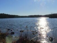 A scavenger hunt adventure in Westwood