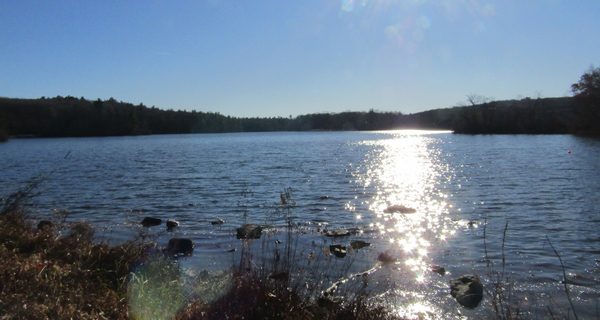 A scavenger hunt adventure in Westwood