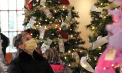 Festival of Trees adapts to pandemic