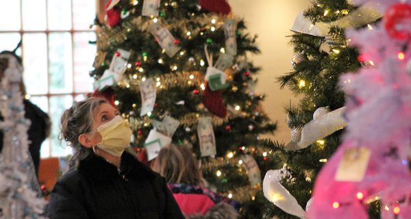 Festival of Trees adapts to pandemic