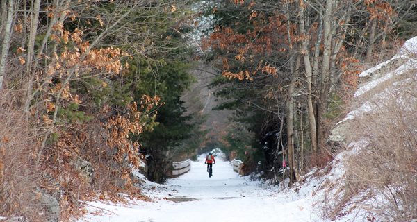Crowds embrace Rail Trail despite cold