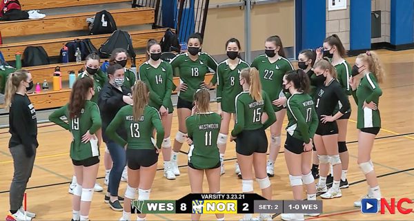 Wolverine volleyball wins on Senior Night