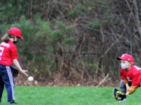 Youngest Little Leaguers work on skills