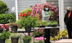 Epiphany Parish holds plant sale