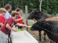 Dudleyfest makes a triumphant return