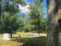 Backyard Files: residents of Pine Hill