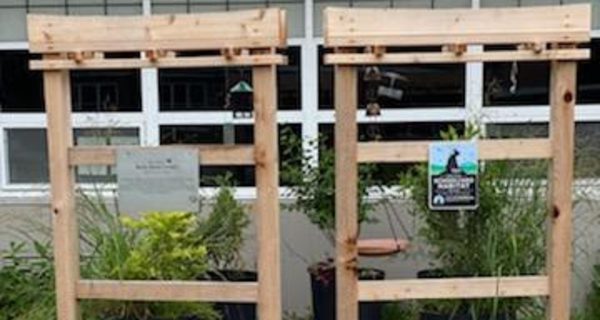 Vitale seeks to revitalize bird garden