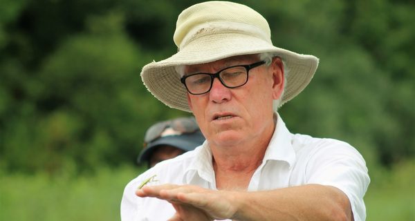 Adams Farm hosts guided wildflower walk