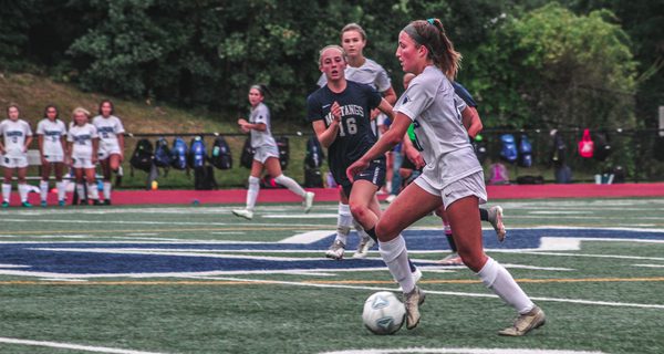 Sumner’s strike lifts DS in opener