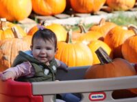 Epiphany Parish Pumpkin Patch returns