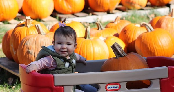 Epiphany Parish Pumpkin Patch returns