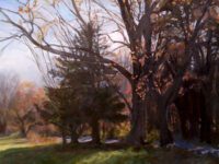 Sherborn artist Anderson in watercolor show