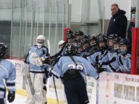 Medfield comeback spoils Wellesley’s senior night