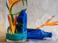 Needham’s Art in Bloom coming soon