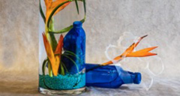 Needham’s Art in Bloom coming soon