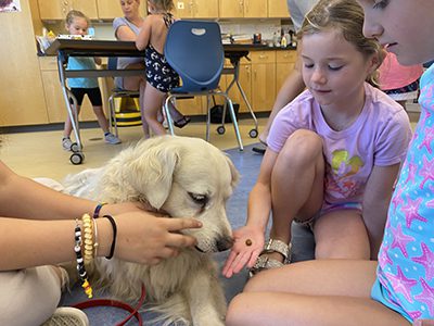 GOFI dogs have tails wagging in Walpole