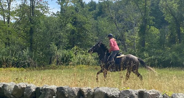 Hunter Pace trots through Dover, Medfield