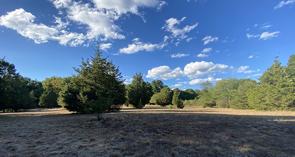 The covert Currier Reservation beckons