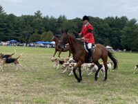 Rein or shine, polo game returns