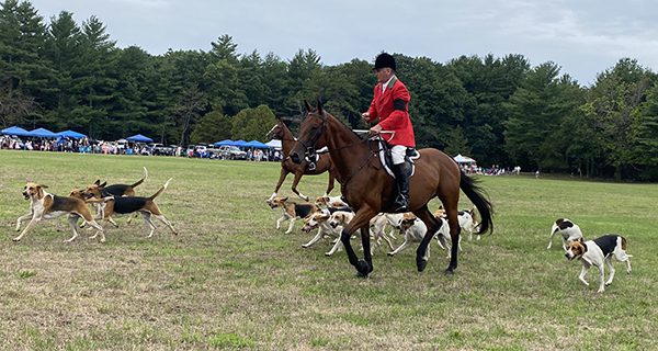 Rein or shine, polo game returns