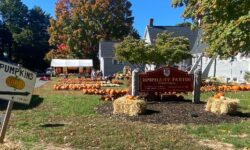 Epiphany Pumpkin Patch returns for October
