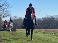 <strong>Amelia Peabody honored at memorial foxhunt </strong>