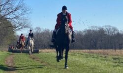 <strong>Amelia Peabody honored at memorial foxhunt </strong>