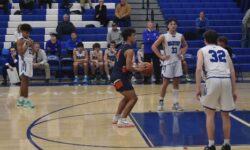 <strong>Timberwolves face Wamps in Braintree</strong>