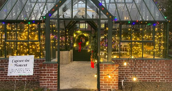 <strong>Festival of Trees returns for holidays</strong>